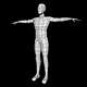 Human Male Low Poly Base Mesh - 3DOcean Item for Sale