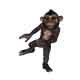 Cartoon Monkey is Dancing - VideoHive Item for Sale
