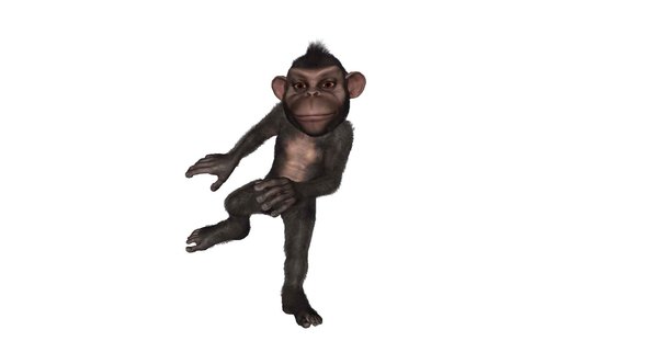 Cartoon Monkey is Dancing