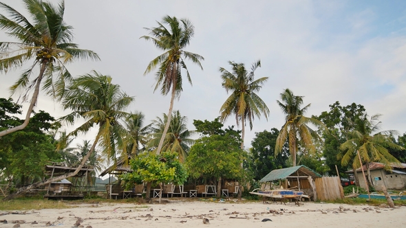 Filipino Village with Palm Trees. Beach