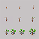 Tree Low Poly - 3DOcean Item for Sale