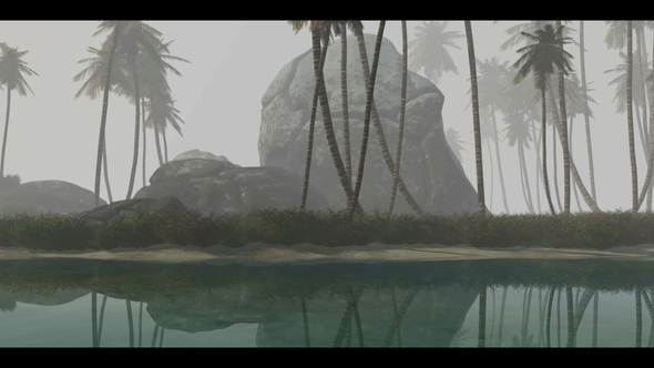 Morning Fog and Tropical Island with Palms