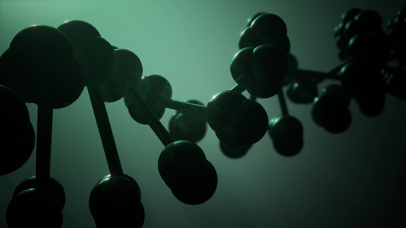 DNA Model Rotate alt