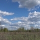Field, Forest, Blue Sky with Clouds on a Spring Sunny Day. - VideoHive Item for Sale
