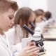 Children at School Looking Into Microscope - VideoHive Item for Sale