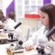 Schoolboys Looking Through Microscope in Laboratory - VideoHive Item for Sale
