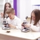 Little Girl Is Looking Through a Microscope at a Lesson in School - VideoHive Item for Sale