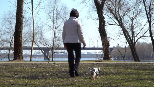 Elderly Woman Walks in Spring Park with Little Dog