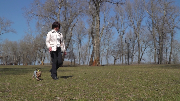 Mature Woman Walks in Park with Her Little Dog