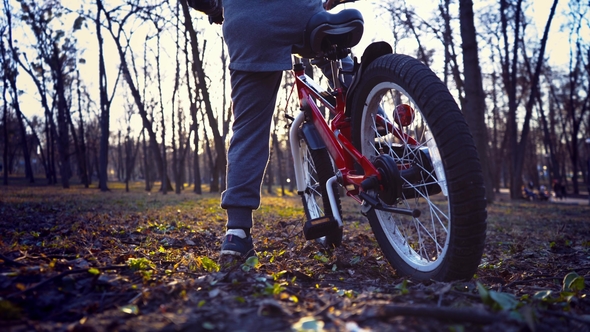 Little Boy Riding the Bicycle in the Park at Sundown