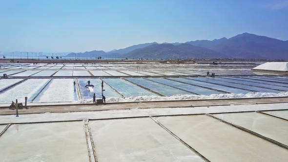 People Work on Salt Plantation Divided to Grounds