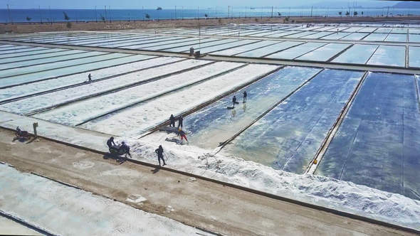 People Work on Vast Salt Fields at Road by Ocean