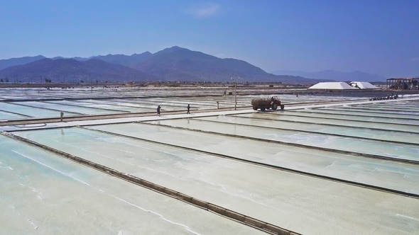 Huge Plantations Produce Salt Evaporating Seawater