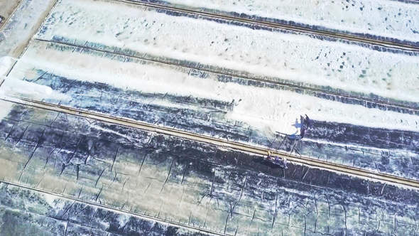 Workers Gather Agricultural Product Salt on Ponds