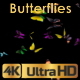 Butterflies Fly Away - VideoHive Item for Sale