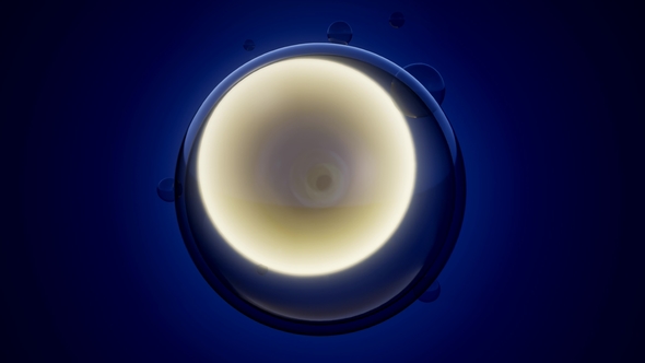 Rotate Cell Division alt