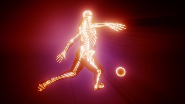 Soccer Game Player alt