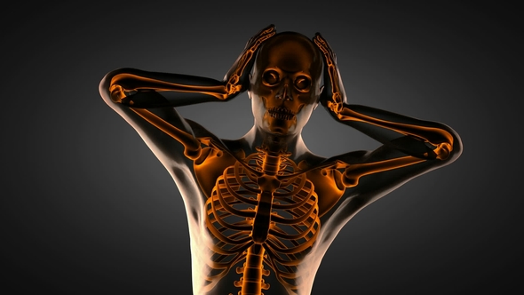 Human Bones Radiographic Scan alt