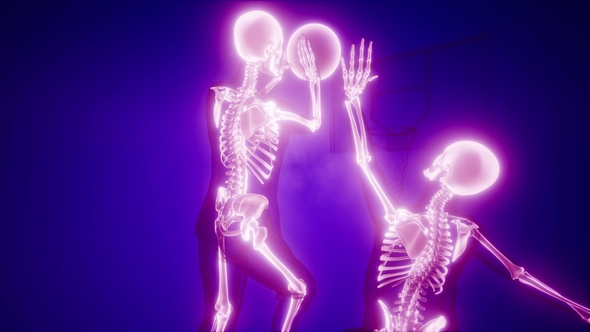 Basketball Game Player alt