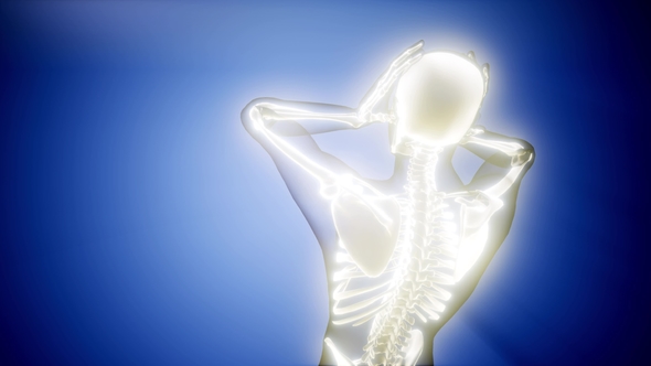 Human Bones Radiographic Scan alt