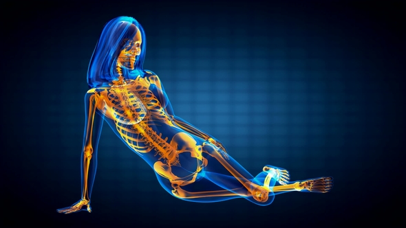 Human Bones Radiographic Scan alt