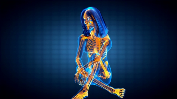 Human Bones Radiographic Scan alt