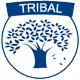 Tribal War Drums - AudioJungle Item for Sale