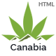 Canabia - Medical Marijuana Dispensary HTML Template - ThemeForest Item for Sale