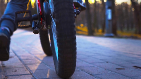 Little Boy Learns to Ride a Bicycle in the Park at Sundown