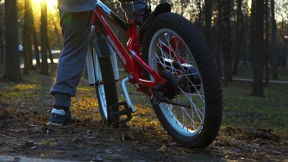 Little Boy Riding the Bicycle in the Park at Sundown