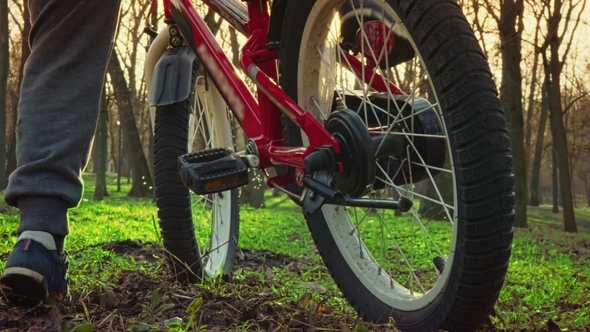 Little Boy Learns to Ride a Bicycle in the Park at Sundown