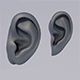Ears - 3DOcean Item for Sale
