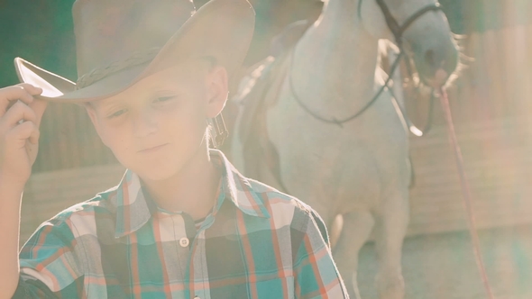 Stylish Little Cowboy Stands Near Purebred Horse on Sunlight. Slowly