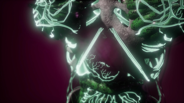 Human Body with Glow Blood Vessels alt