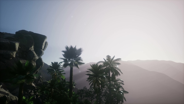 Sunset Beams Through Palm Trees alt