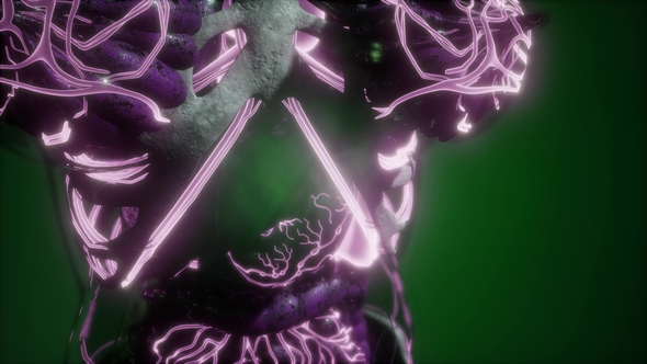 Human Body with Glow Blood Vessels alt