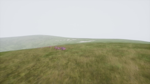 Aerial Green Hills Landscape in Fog alt