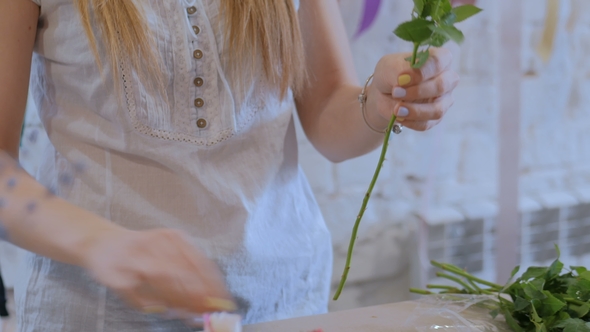 Professional Florist Working with Flowers at Studio