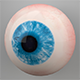Human Eye 3D Model - 3DOcean Item for Sale