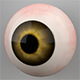 Human Eye 3DModel - 3DOcean Item for Sale