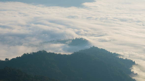 Fog Mountain