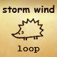 Storm Wind