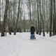 Mother with Baby Stroller Enjoying Motherhood in Winter Forest - VideoHive Item for Sale