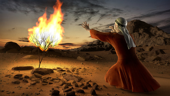 Moses And The Burning Bush