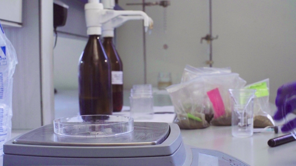 The Scientist's Hands Weighing Soil Sample