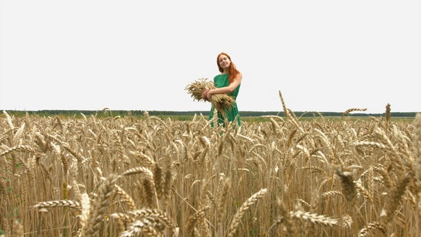 Walk on Wheat Field