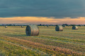 Hay bales - PhotoDune Item for Sale
