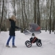 Beautiful Mother Pushing Pram in the Winter Park. - VideoHive Item for Sale