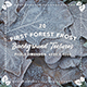 20 First Forest Frost Backgrounds - 3DOcean Item for Sale