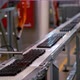 Candy Factory, Production Line of Chocolates - VideoHive Item for Sale